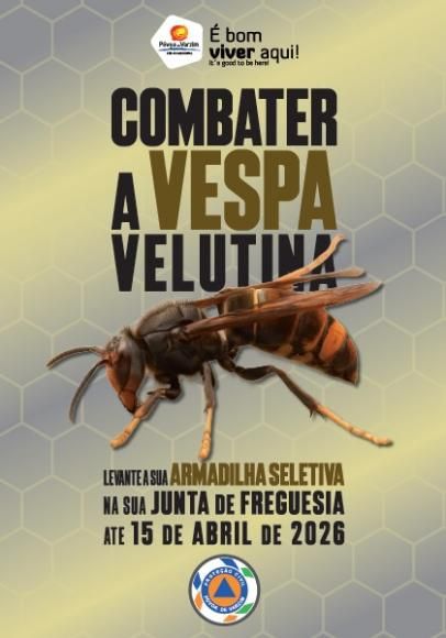 Vespa Velutina